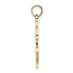 14K Textured Dollar Sign Charm