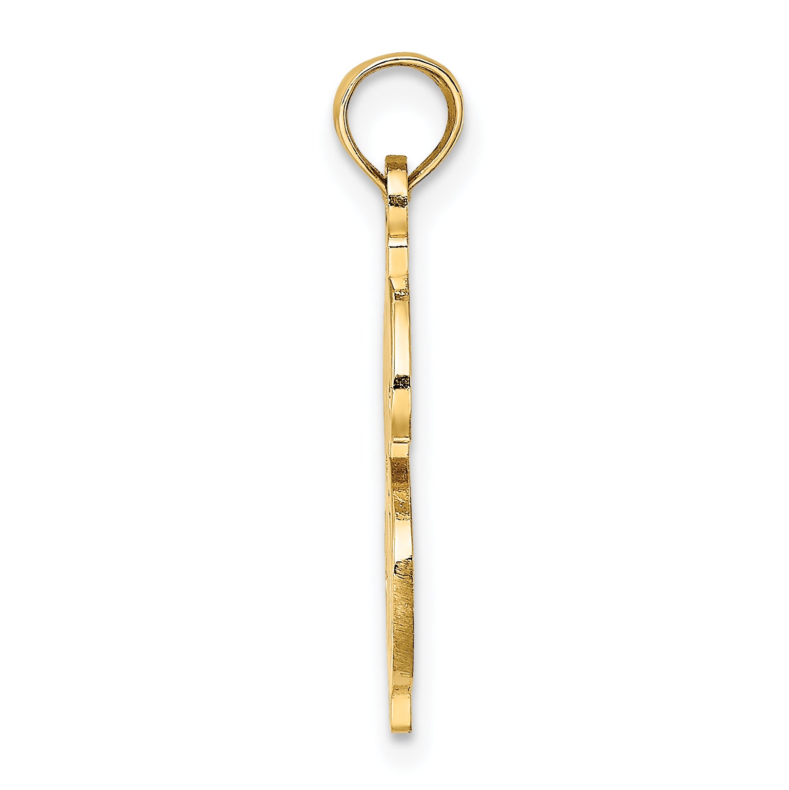14K Textured Dollar Sign Charm