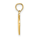 14K Polished Apple Charm