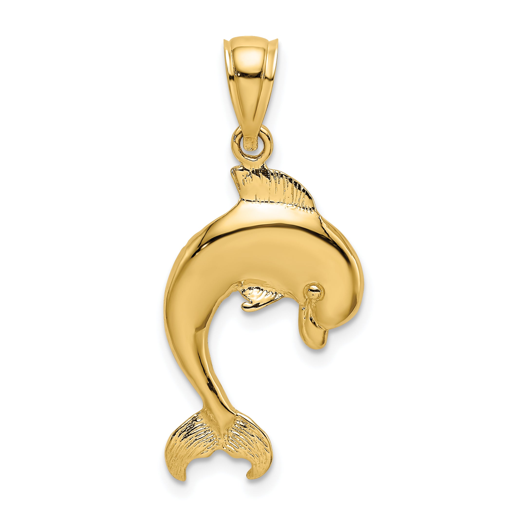 14K Polished Jumping Dolphin Charm Main image