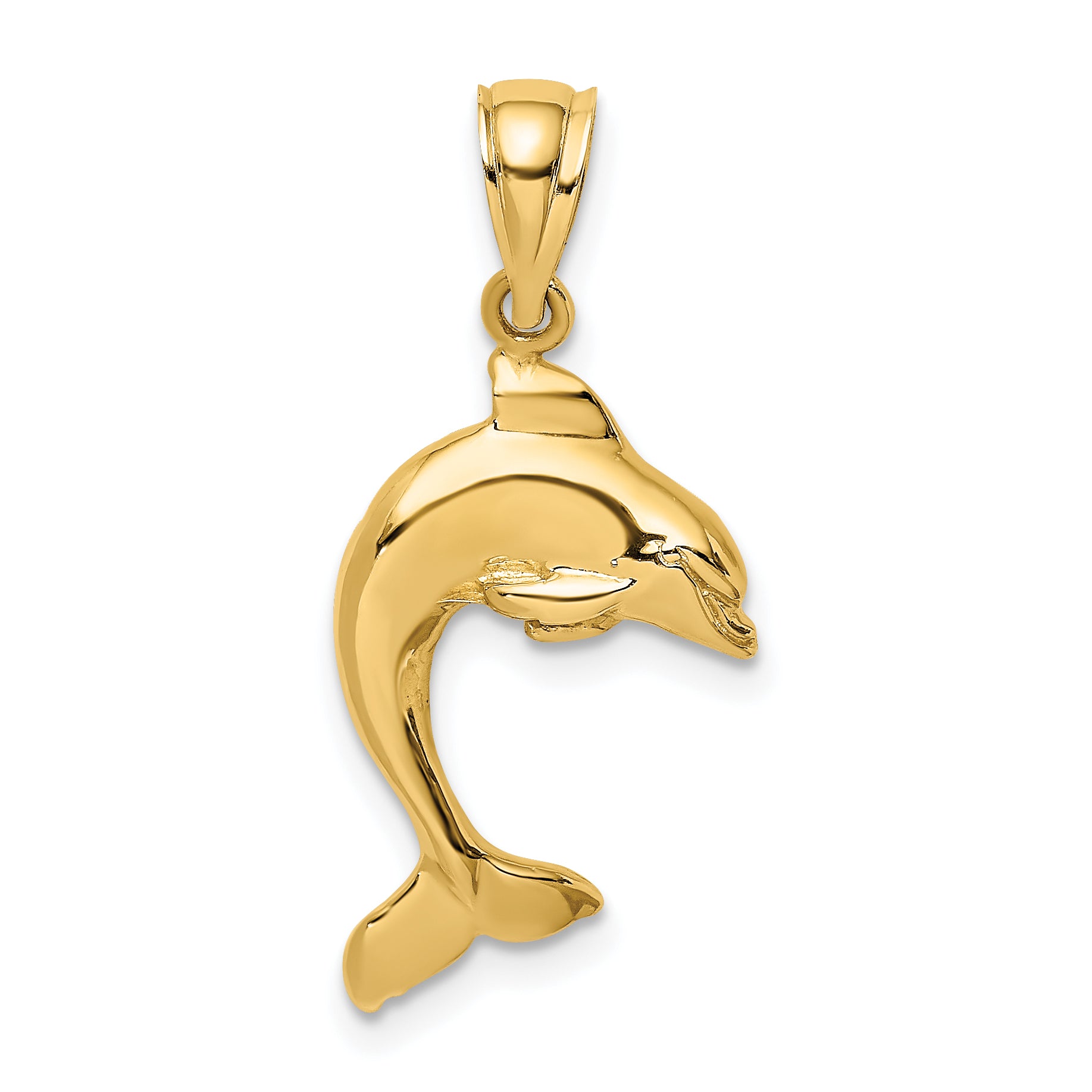 14K 2-D Polished Dolphin Jumping Charm Main image