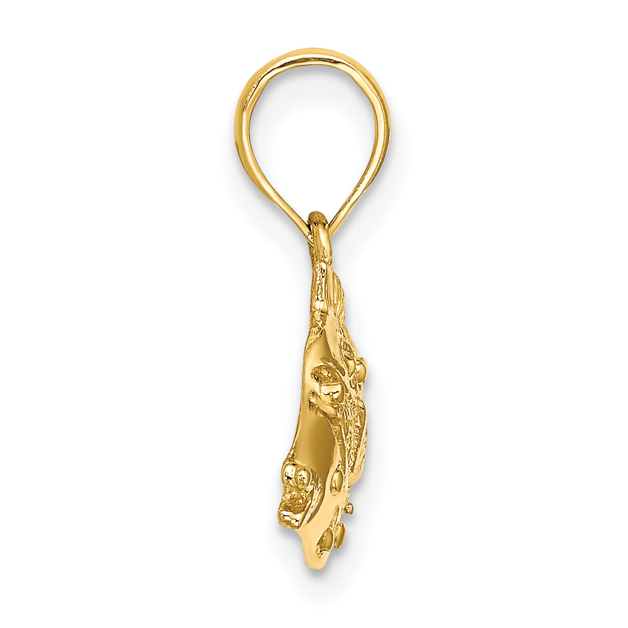 14K 2-D Polished  Engraved Fish Charm Secondary image