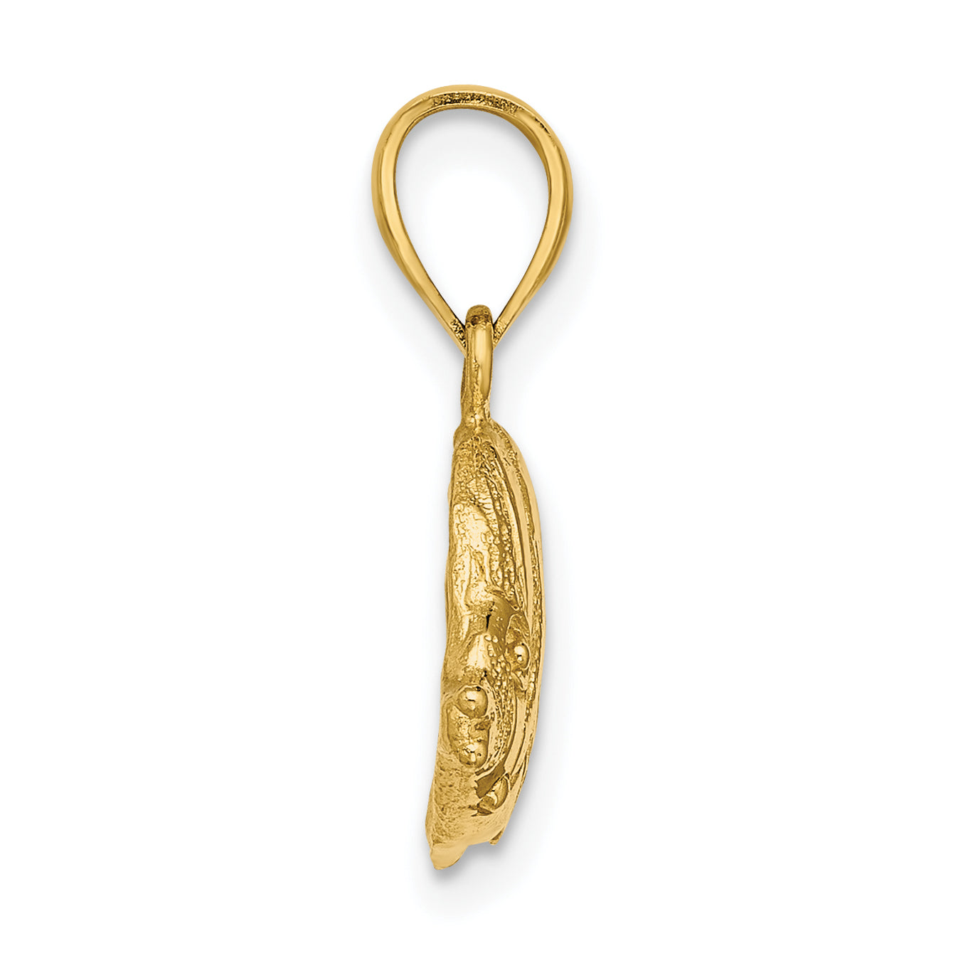 14K 2-D Polished Engraved Fish Charm Secondary image