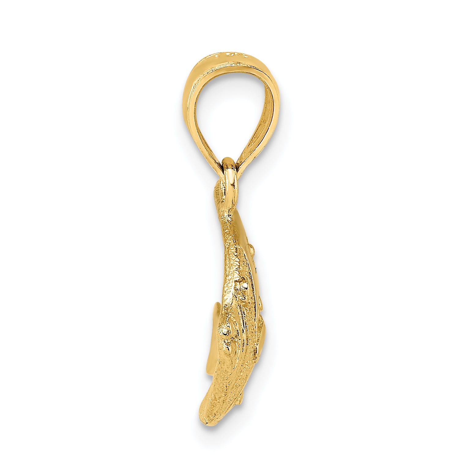14K 2-D Polished Fish Charm Secondary image