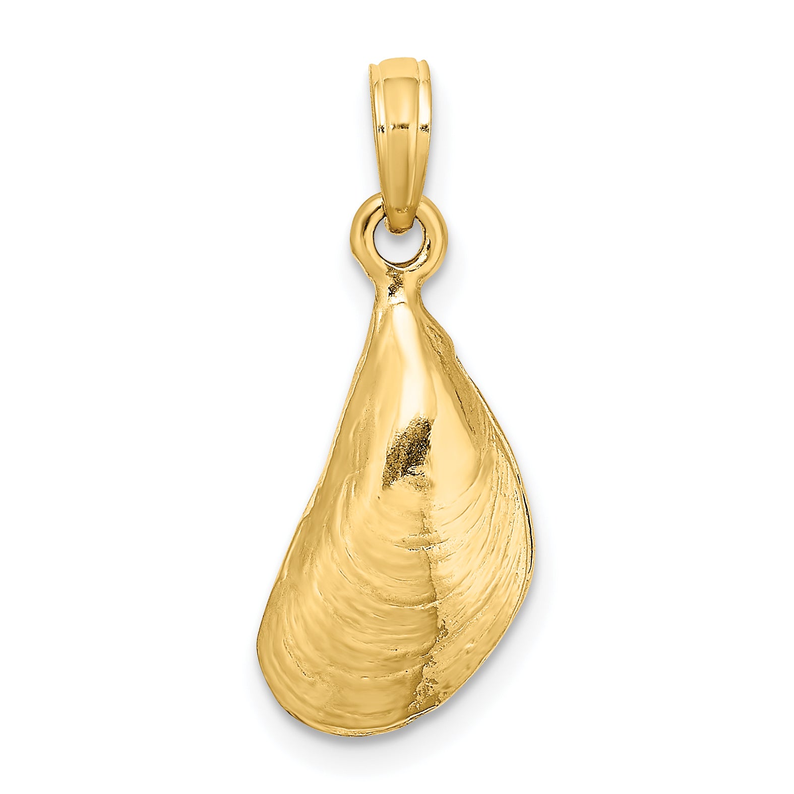 14K 3-D Polished Mussel Shell Charm Main image