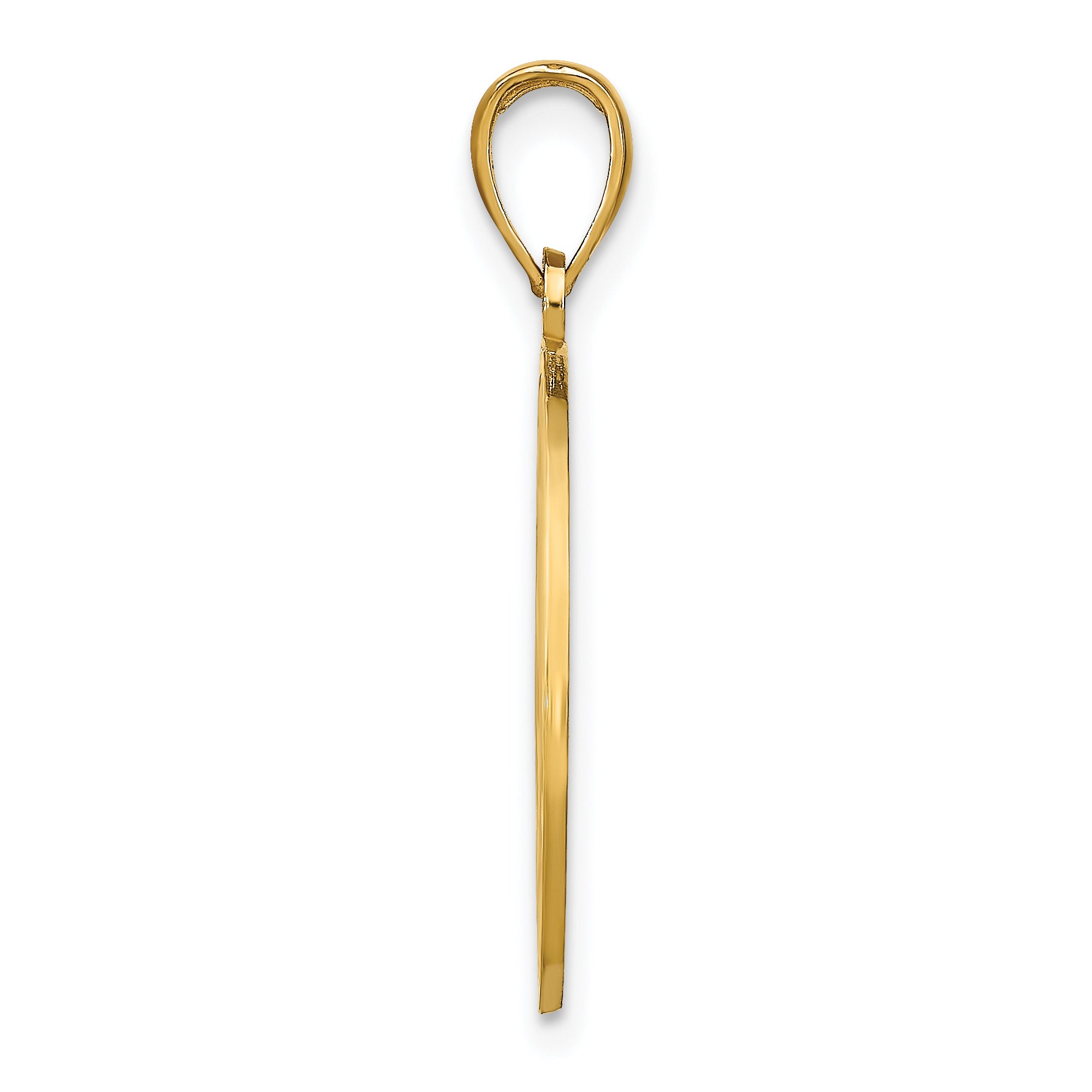 14k NAPLES Dolphins Pendant Secondary image