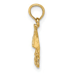 14K Stingray Charm