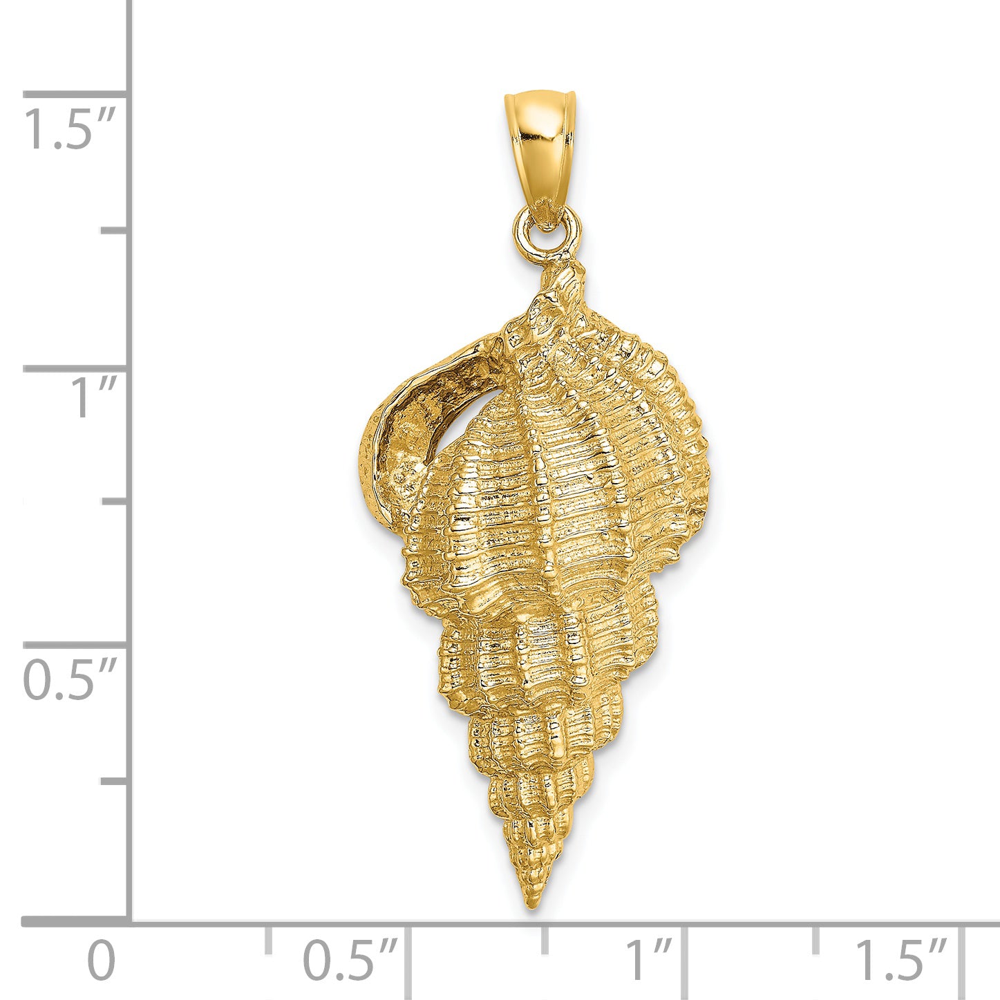 14K Wentletrap Shell Charm