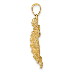 14K Land Turtle Charm