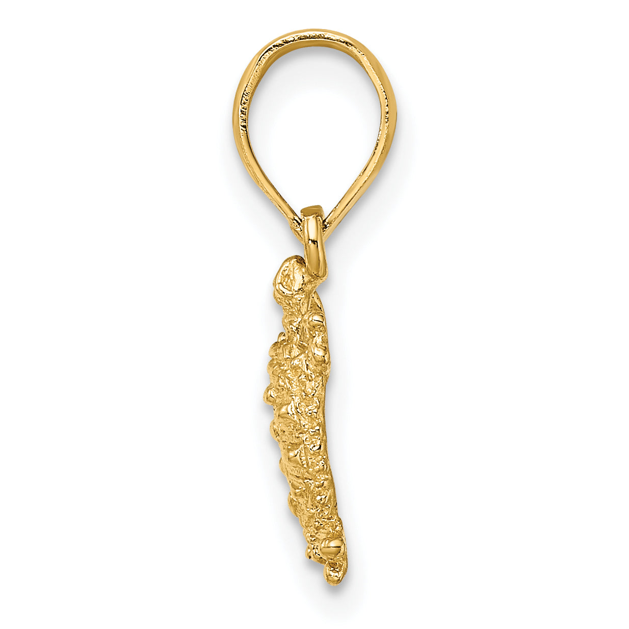 14K Land Turtle Charm Secondary image