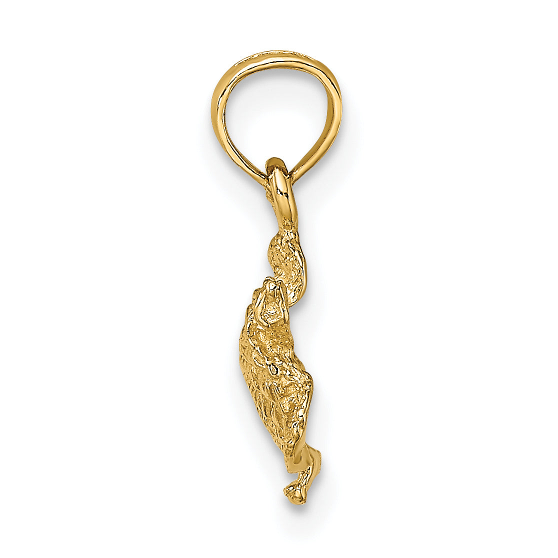 14K Textured Sea Turtle Charm Secondary image