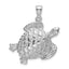 14K White Gold Textured Sea Turtle Charm