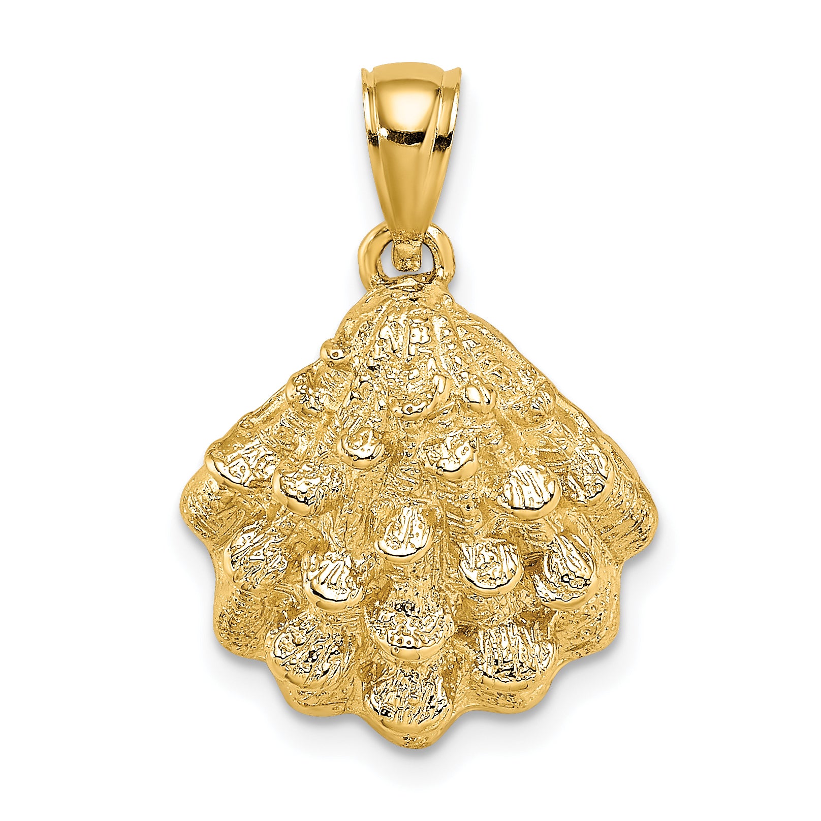 14K Textured Oyster Shell Charm