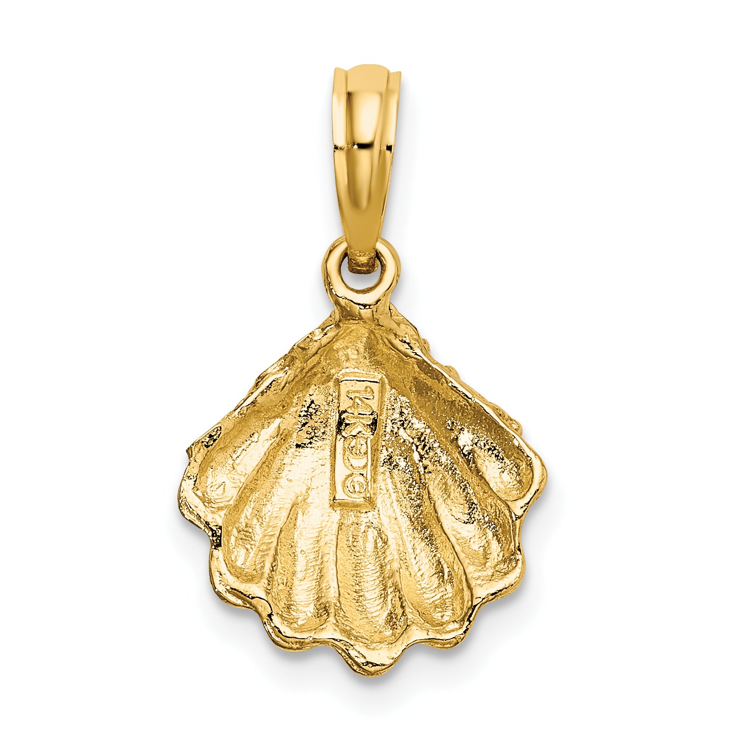 14K Textured Oyster Shell Charm