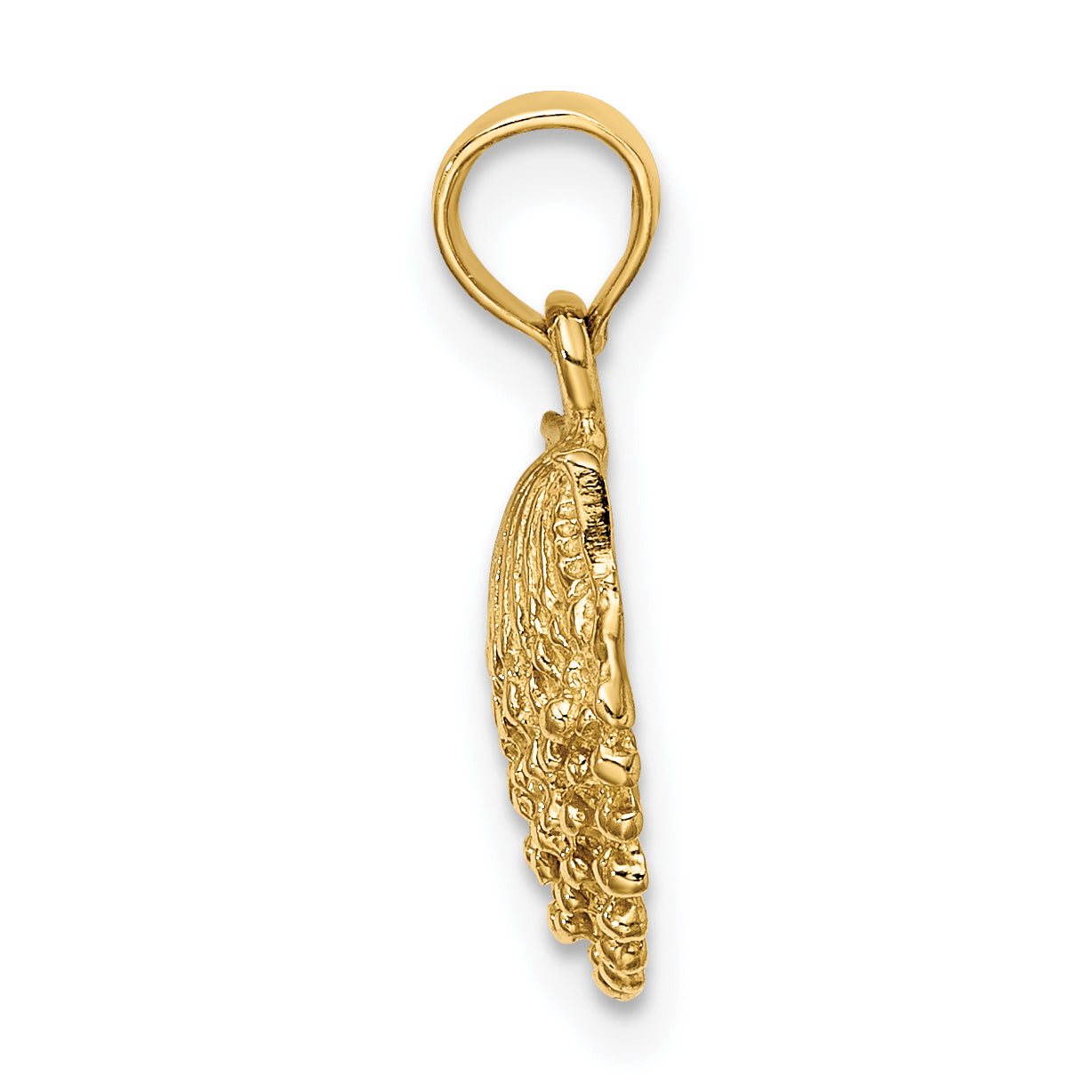 14K Textured Scallop Shell Charm