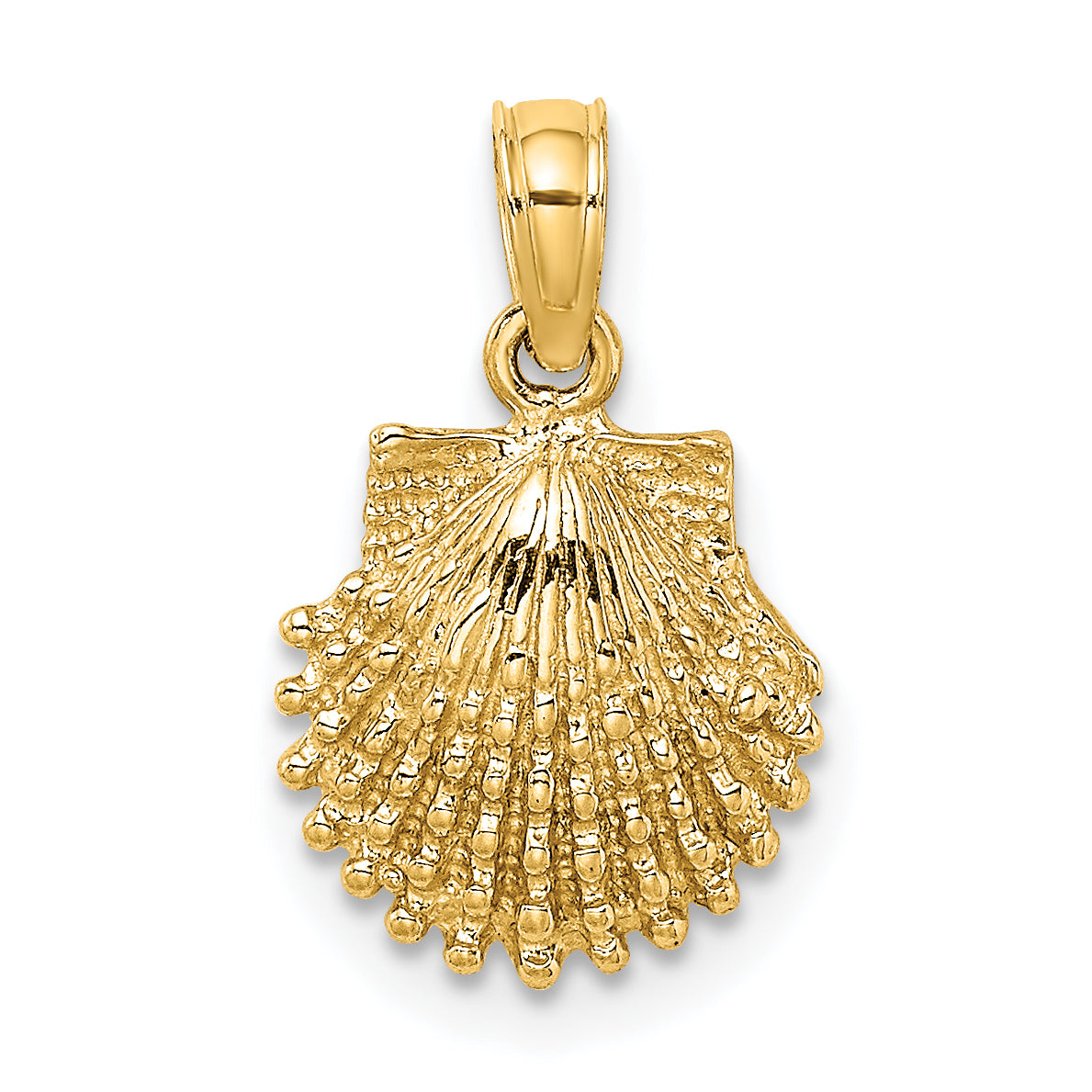 14K Textured Scallop Shell Charm Main image