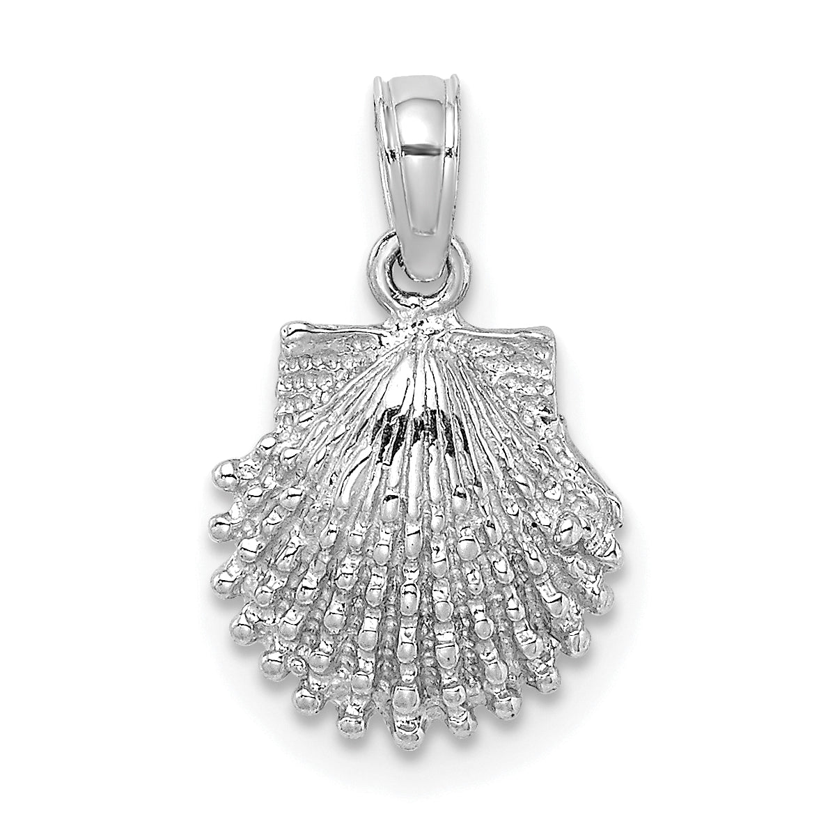 14K White Gold Textured Scallop Shell Charm Main image