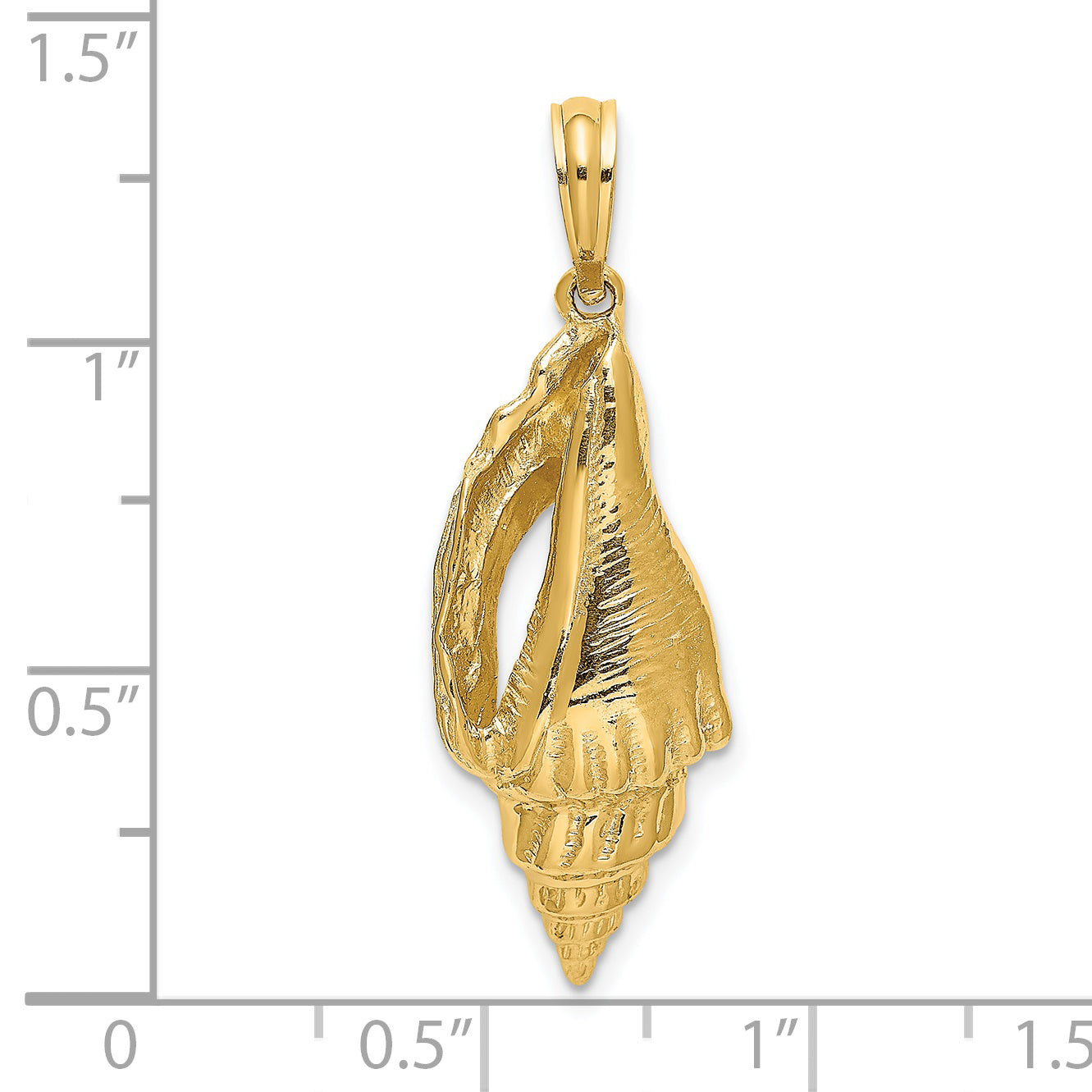 14K Polished Elongated Shell Charm