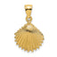 14K Textured Scallop Shell Charm