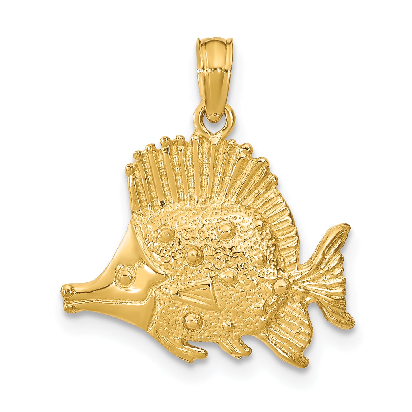 14K Polished Engraved Fish Charm Main image