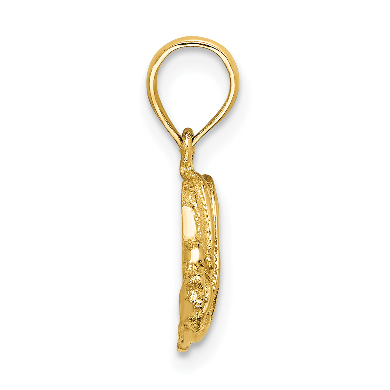 14K Polished Engraved Fish Charm Secondary image