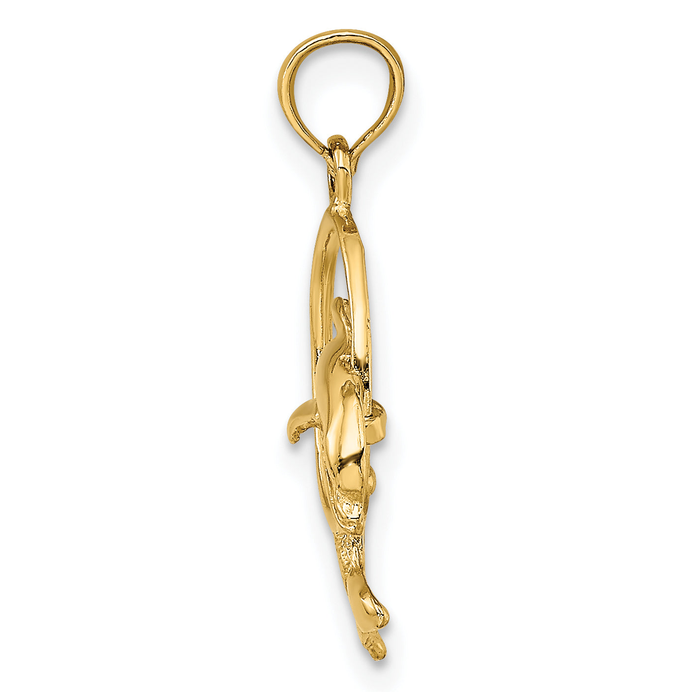 14K Polished Dolphin Jumping Through Hoop Charm Secondary image