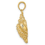 14K Textured Conch Shell Charm