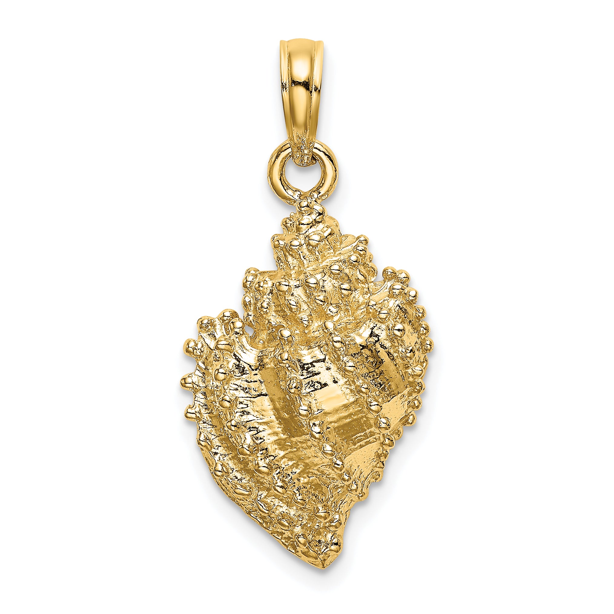 14K Textured Conch Shell Charm Main image