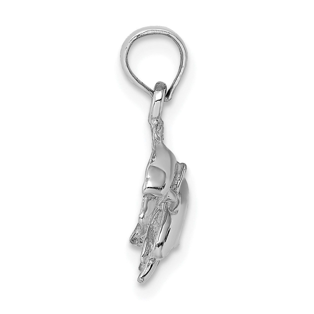 14K White Gold Polished Double Dolphins Jumping Left Charm Secondary image