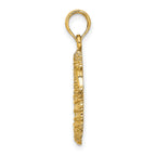14K Textured Seahorse Charm