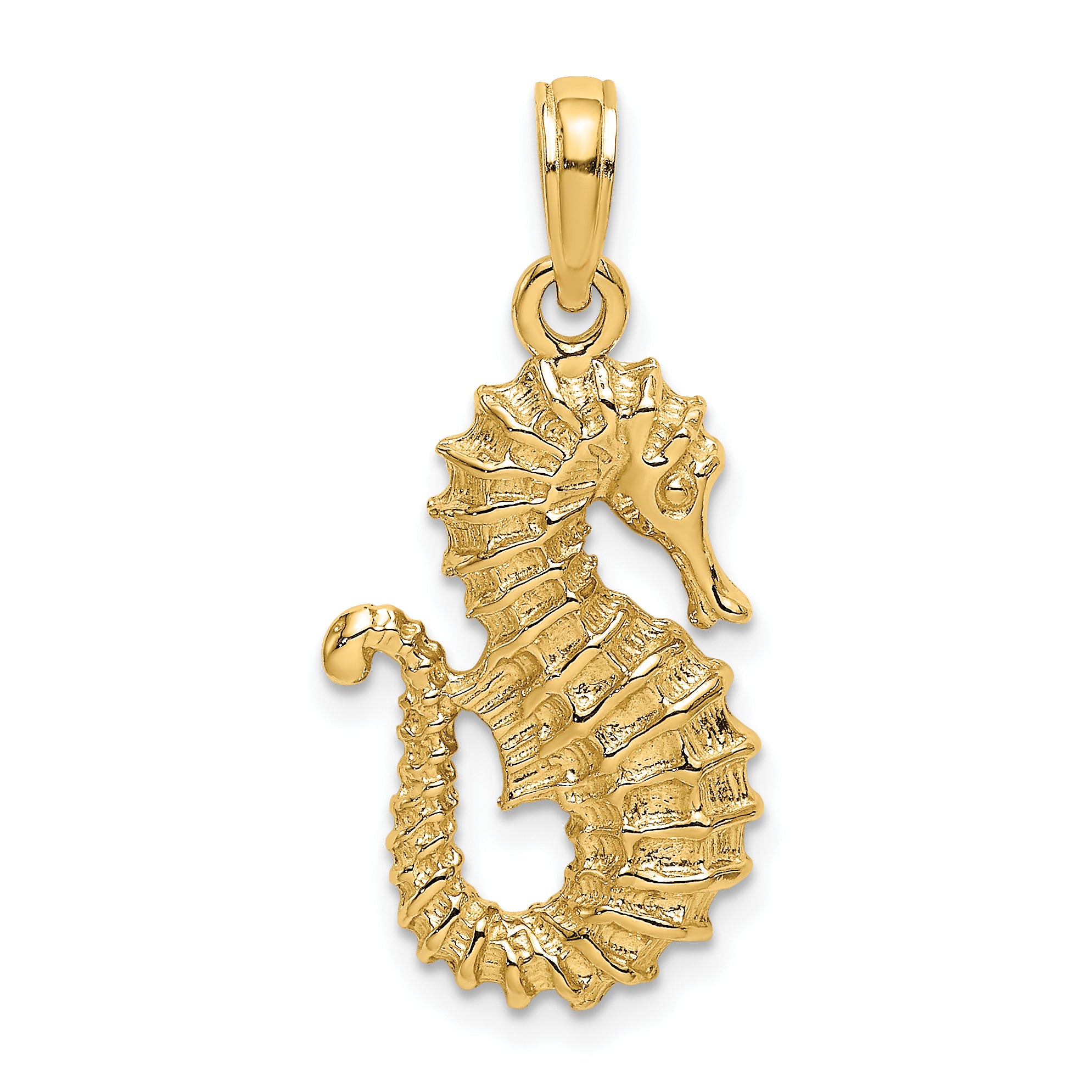 14K Textured Seahorse Charm Main image