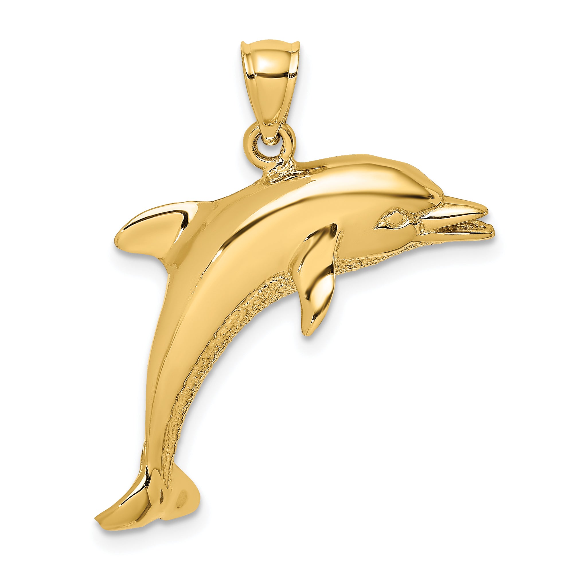 14K Polished Jumping Dolphin Charm Main image
