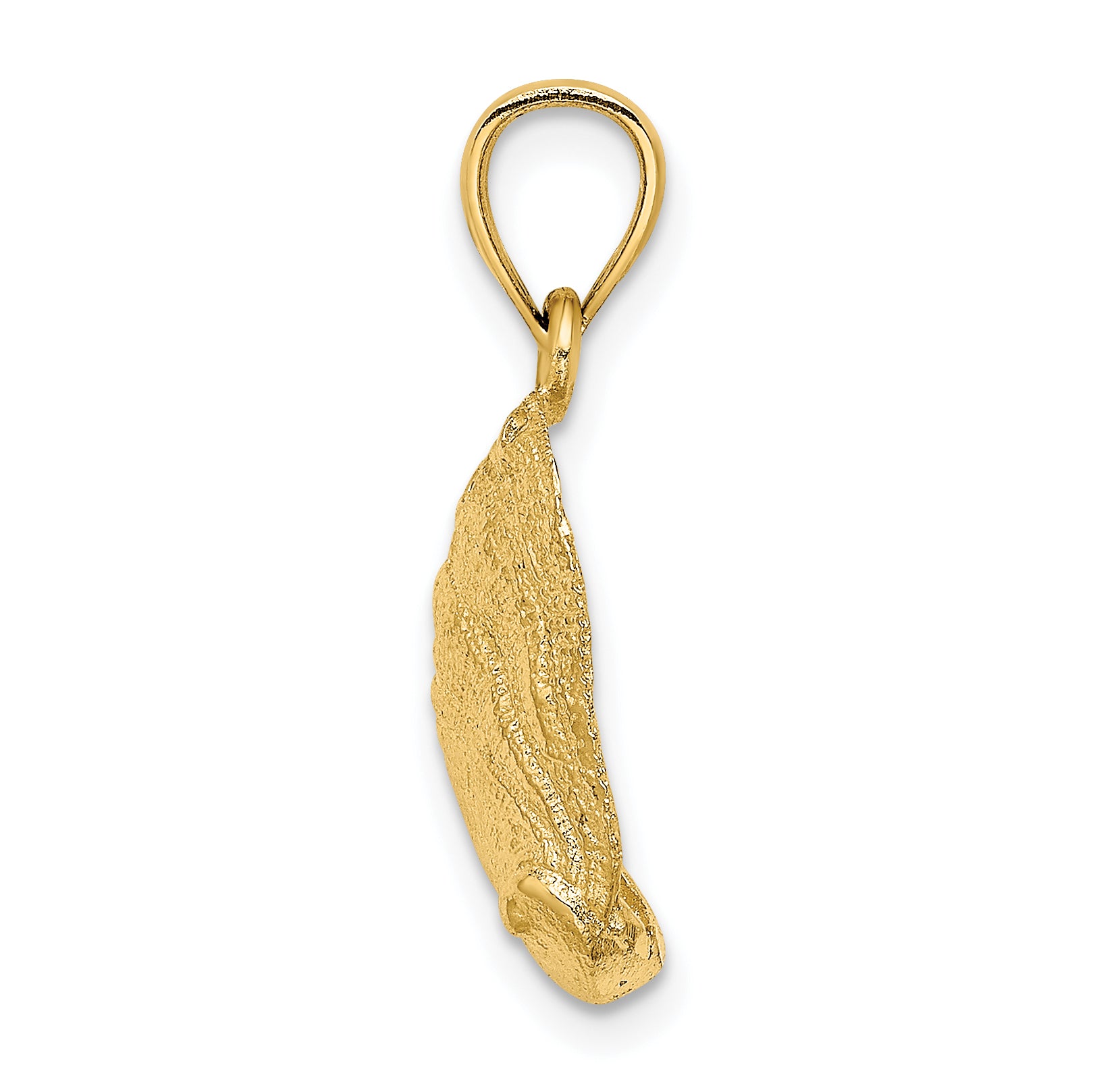 14K Abalone Shell Charm Secondary image