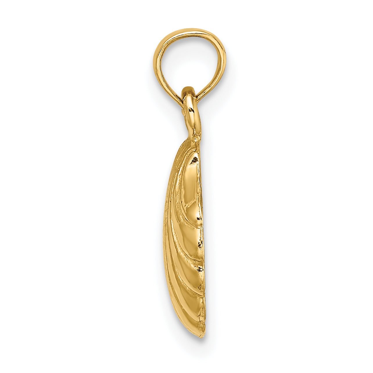 14K Polished Scallop Shell Charm
