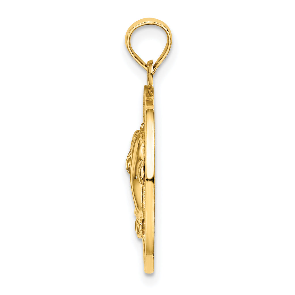 14K TURKS AND CAICOS w/ Dolphins Circle Charm