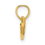 14K Polished Mini Dolphin Charm