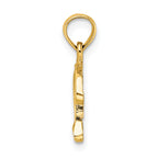 14K Textured Mini Dolphin Jumping Charm
