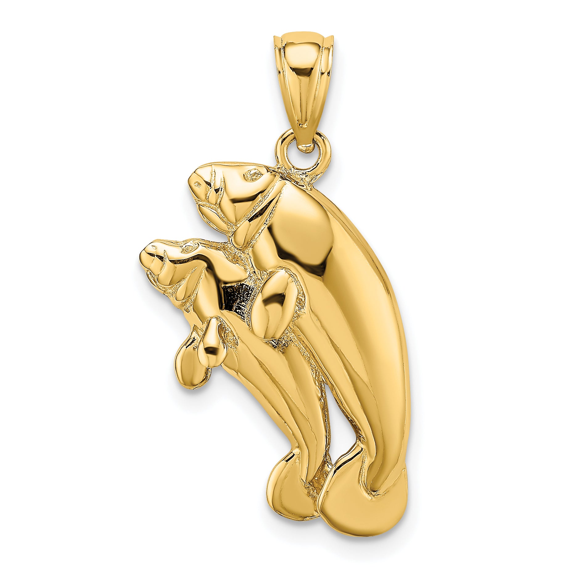 14K 2-D /Polished Two Manatees Charm Main image