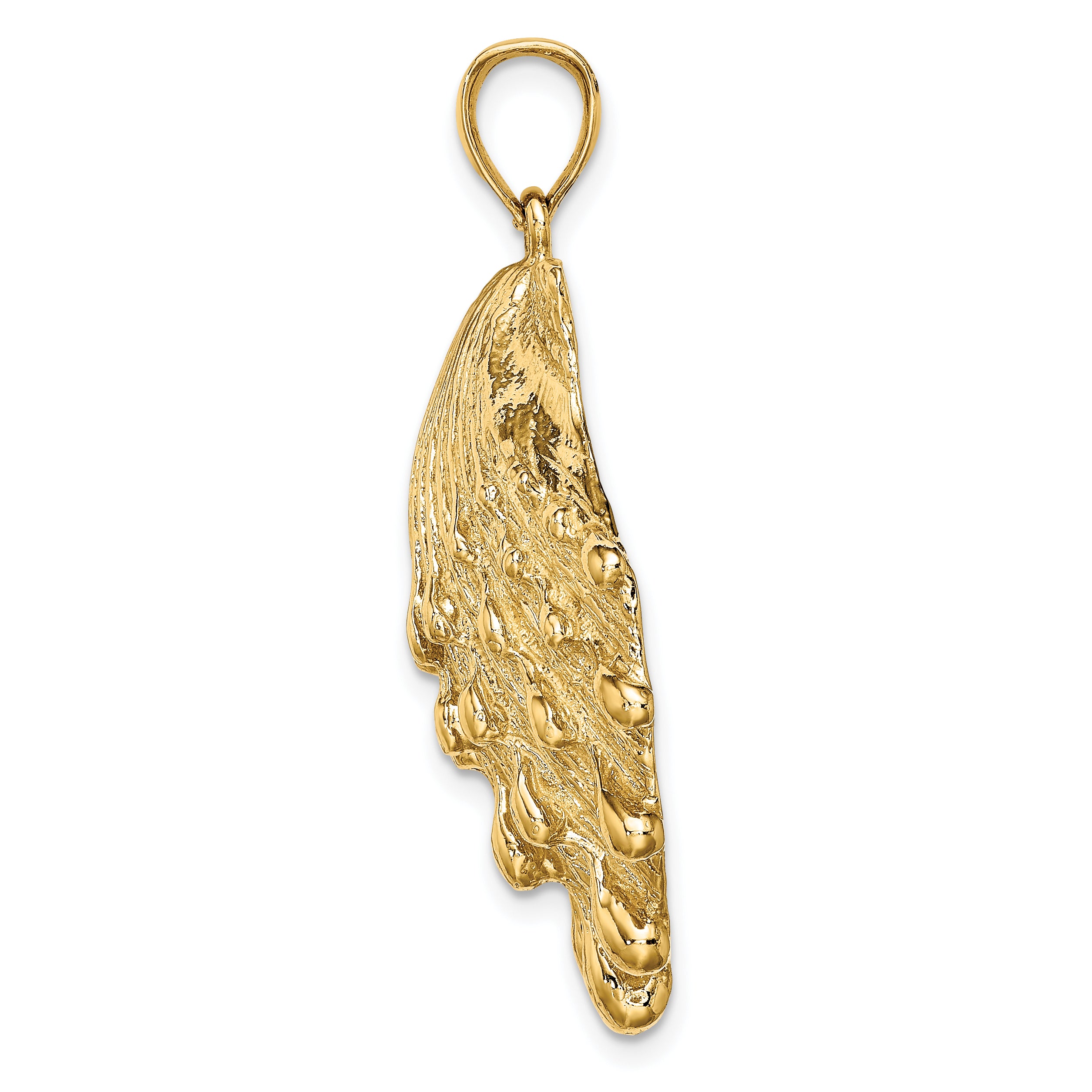 14K Lion's Paw Shell Charm Secondary image