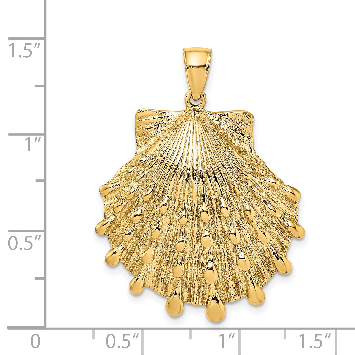 14K Lion's Paw Shell Charm