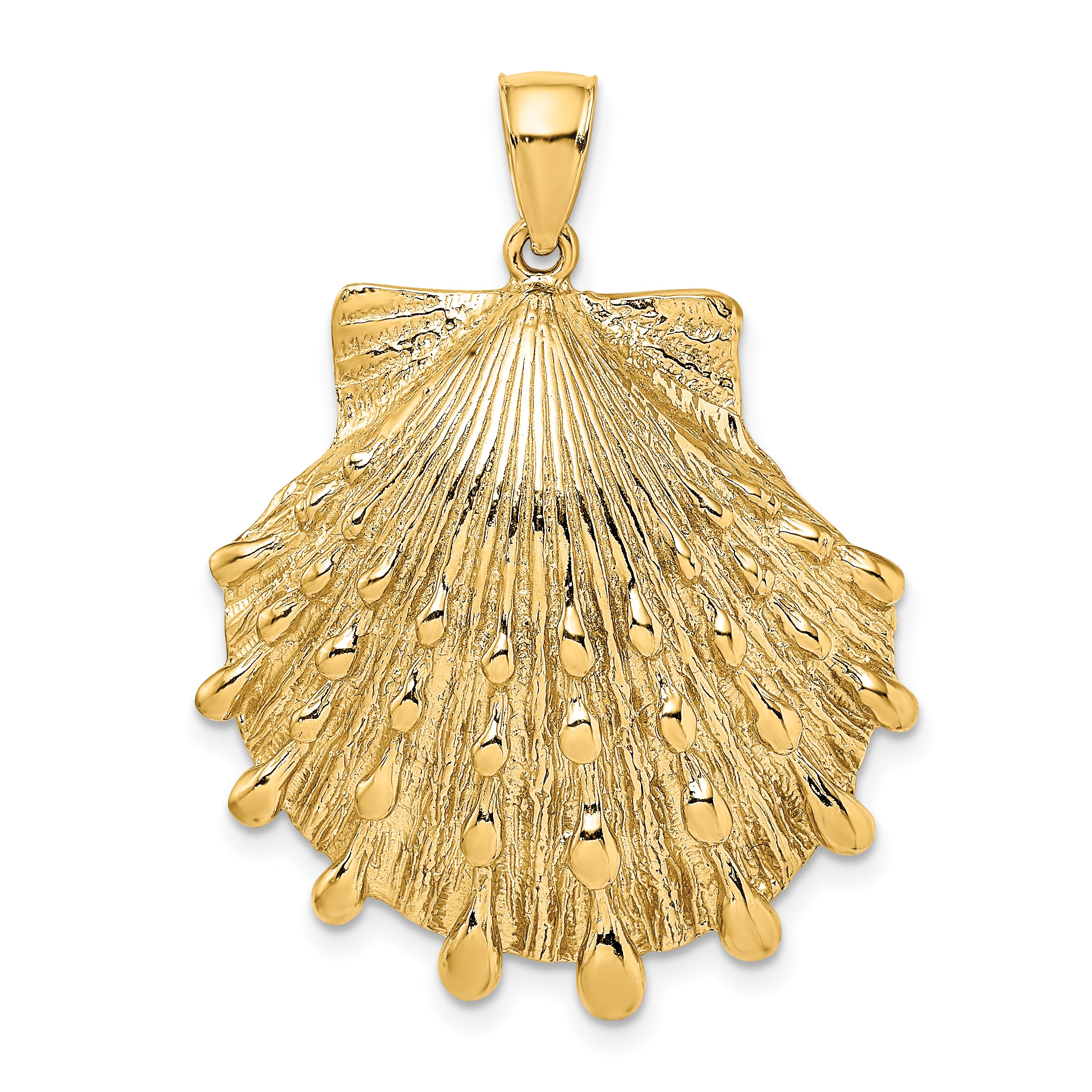 14K Lion's Paw Shell Charm Main image