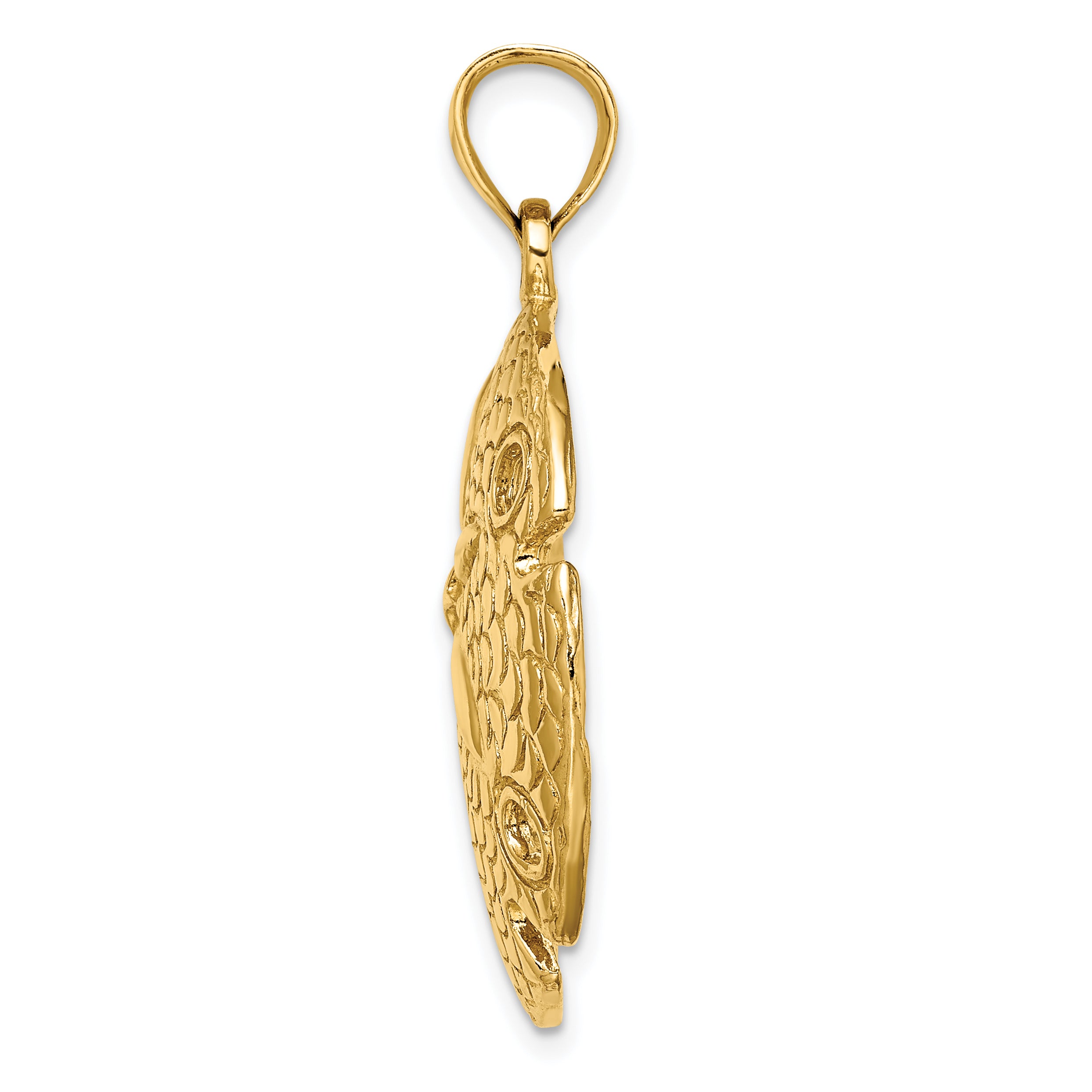 14K Polished and Textured Large Sand Dallar Charm Secondary image
