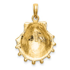 14K Lions Paw Shell Charm