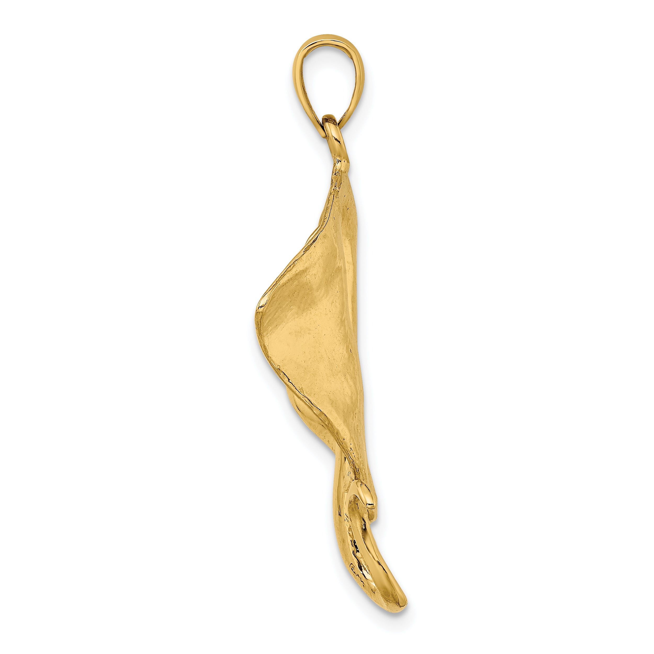 14k Polished Stingray Charm Secondary image
