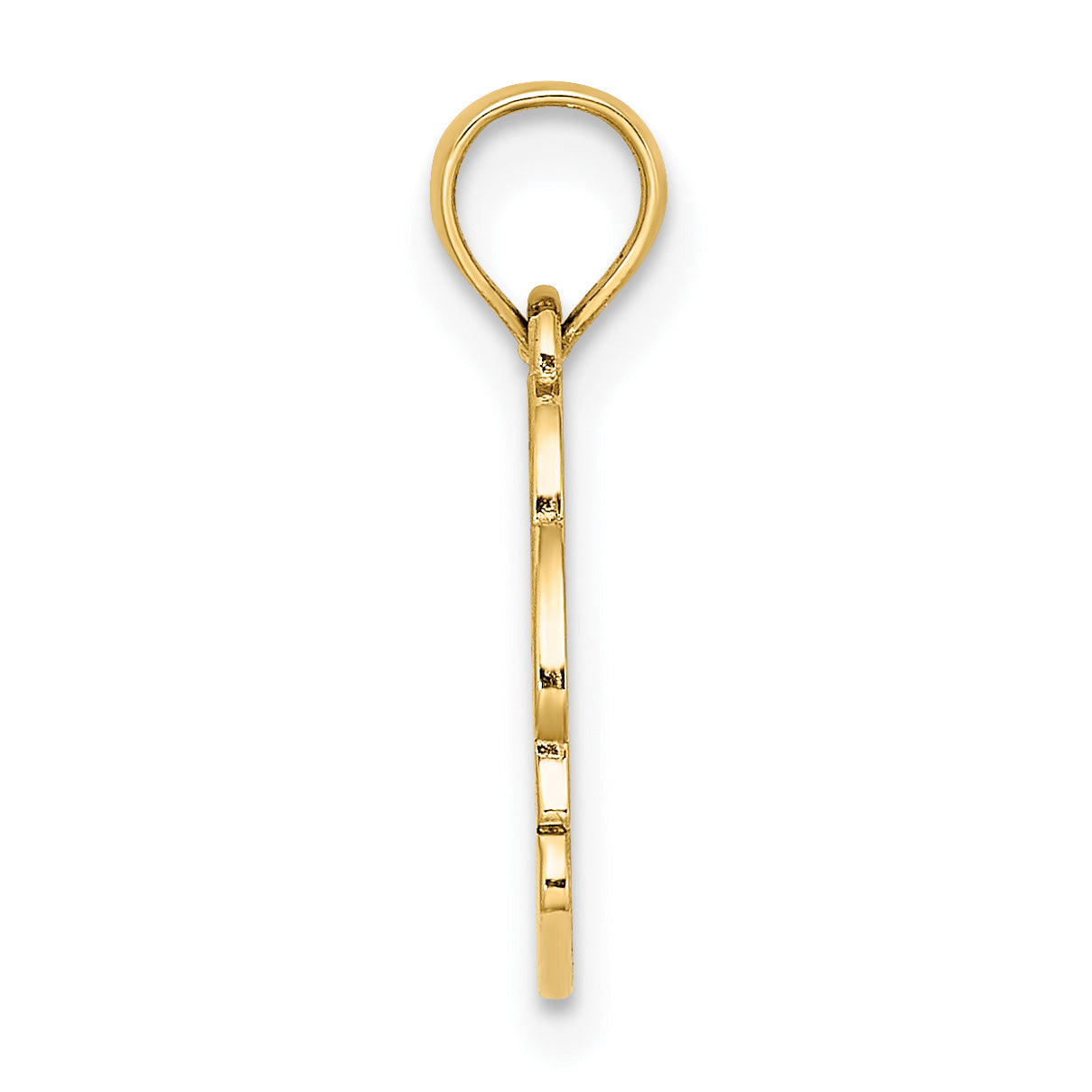 14K Textured NAGS HEAD w/ Dolphin Charm