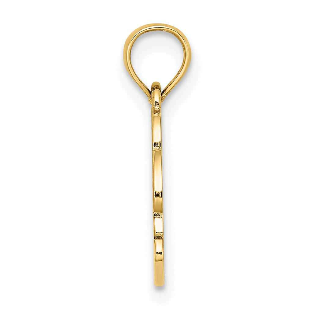 14K Textured NAGS HEAD w/ Dolphin Charm