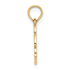 14K Textured NAGS HEAD w/ Dolphin Charm