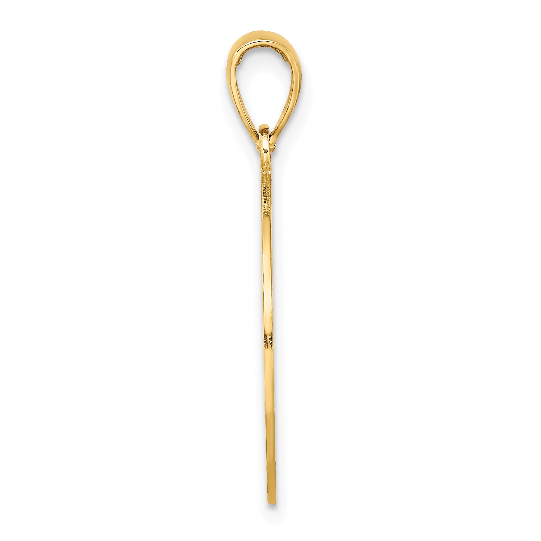 14K ST. GEORGE ISLAND w/DOLPHINS Circle Charm