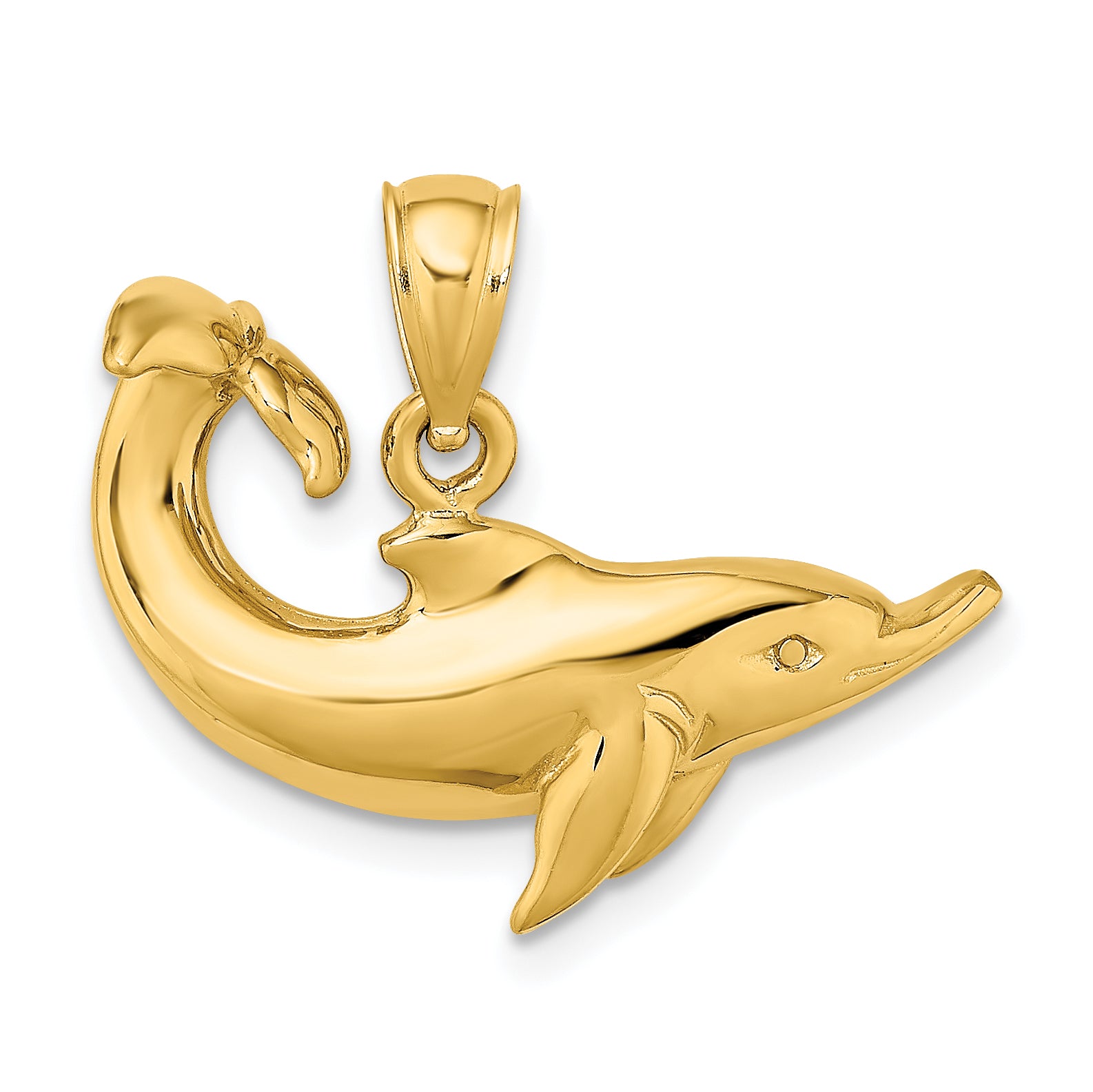 14K Polished Dolphin Charm Main image