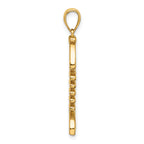 14K 3-D Polished/ Textured Fishbone Charm